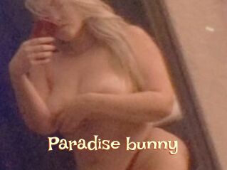 Paradise_bunny