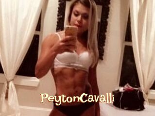 Peyton_Cavalli