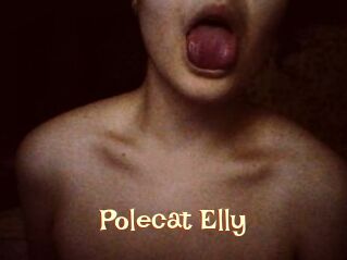 Polecat_Elly