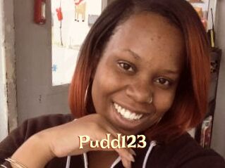 Pudd123