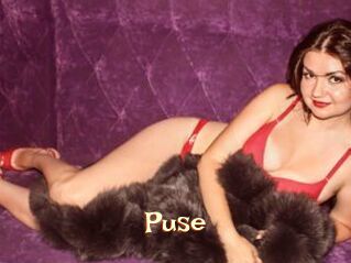 Puse