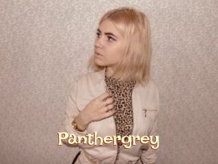Panthergrey