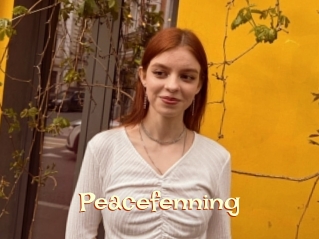 Peacefenning