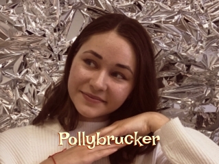 Pollybrucker