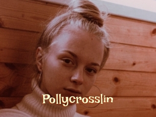 Pollycrosslin