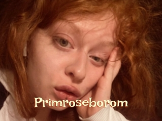 Primroseborom