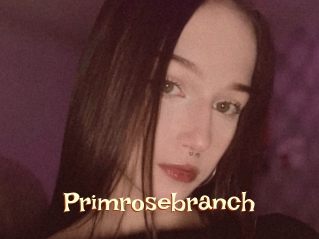 Primrosebranch