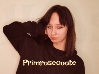 Primrosecoote
