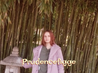 Prudencefigge
