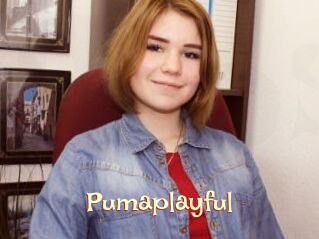 Pumaplayful