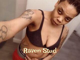 Raven_Stud