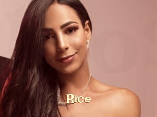 Rice