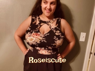 Roseiscute