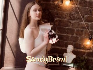 SandyBrawl