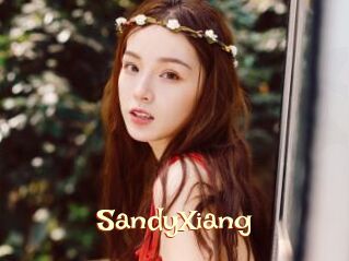 SandyXiang