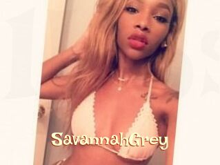 Savannah_Grey