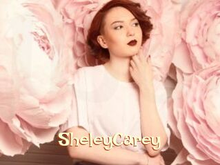 SheleyCarey