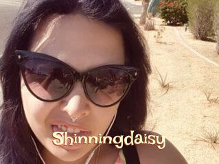 Shinningdaisy