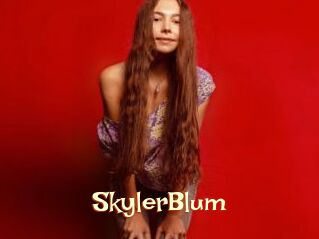 SkylerBlum