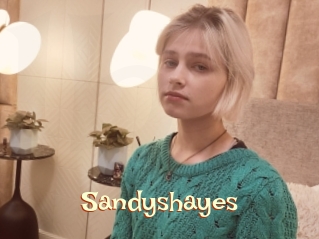 Sandyshayes