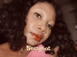 Secypot