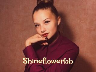 Shineflowerbb