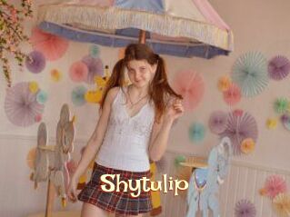 Shytulip