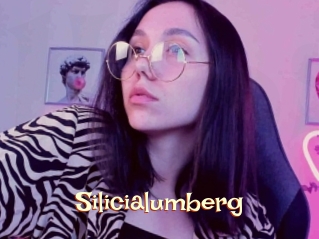 Silicialumberg