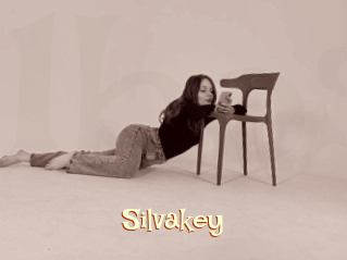 Silvakey