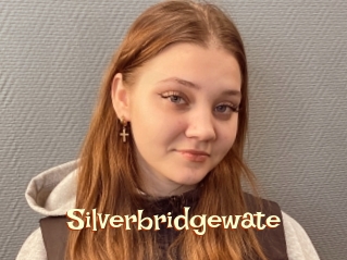 Silverbridgewate