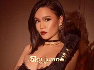 Sky_junne