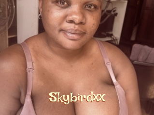 Skybirdxx