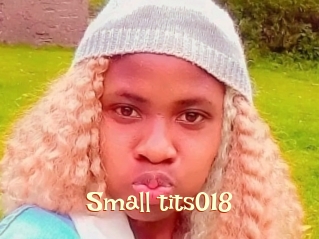 Small_tits018