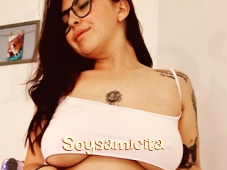 Soysamicita