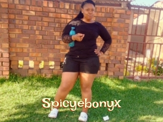 Spicyebonyx