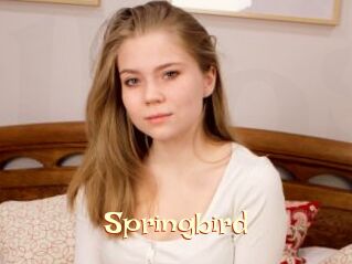 Springbird