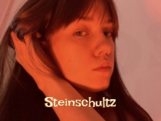 Steinschultz