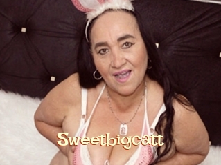 Sweetbigcatt