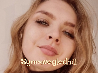 Synnovegledhill