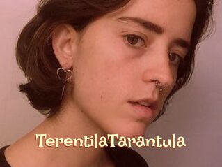 TerentilaTarantula