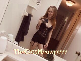 TheCatsMeowprrr