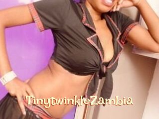 TinytwinkleZambia