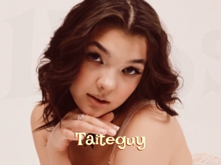 Taiteguy