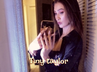 Tiny_taylor