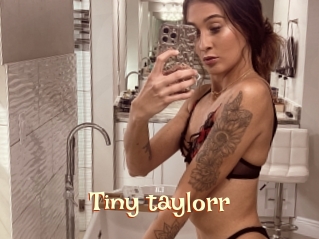 Tiny_taylorr