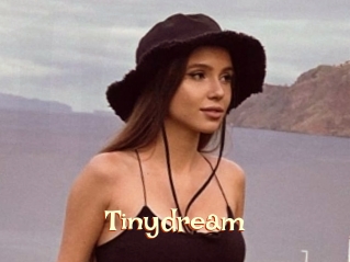 Tinydream