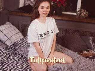 Tulipvelvet