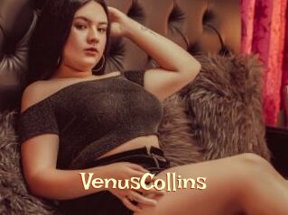 VenusCollins