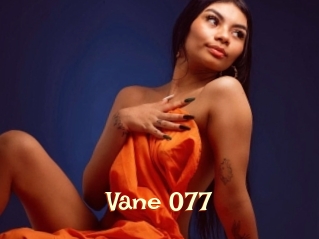 Vane_077