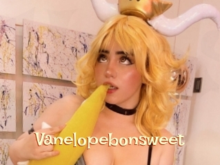 Vanelopebonsweet